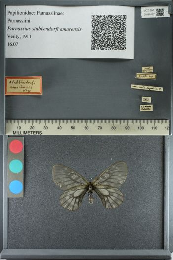 Media type: image;   Entomology 180127